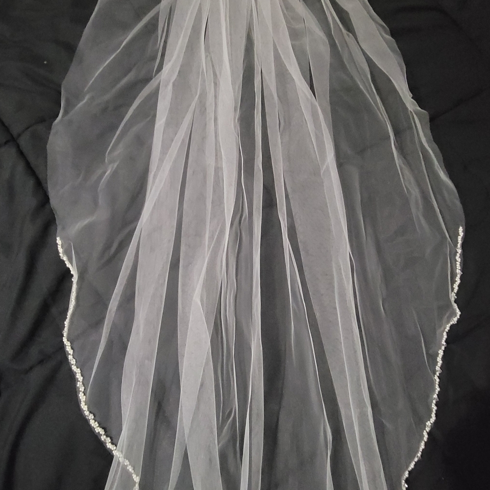 Elegant Sheer Veil with Beaded Edge